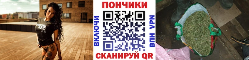 Каннабис семена  купить наркотики цена  Далматово 